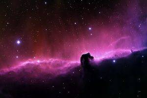 space, Horsehead Nebula, Nebula