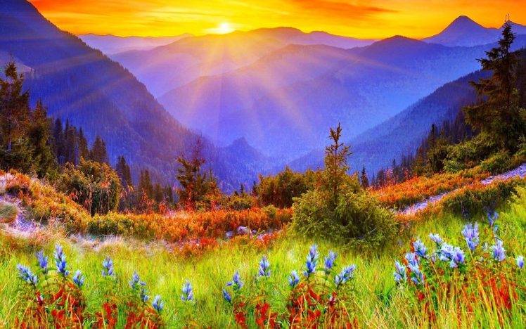 nature, Landscape, Flowers HD Wallpaper Desktop Background