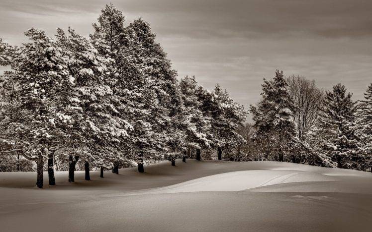 nature, Landscape, Snow, Ice HD Wallpaper Desktop Background