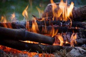 nature, Fire, Wood
