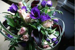 flowers, Rose, Nature, Pink Flowers, Purple Flowers