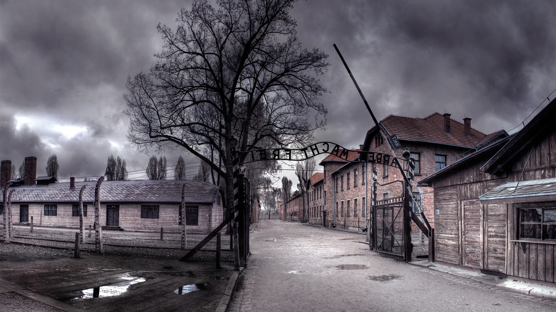 nature, Landscape, Auschwitz Wallpaper