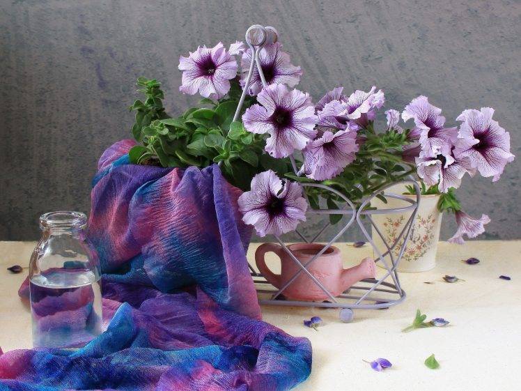 nature, Flowers, Purple Flowers, Bottles HD Wallpaper Desktop Background