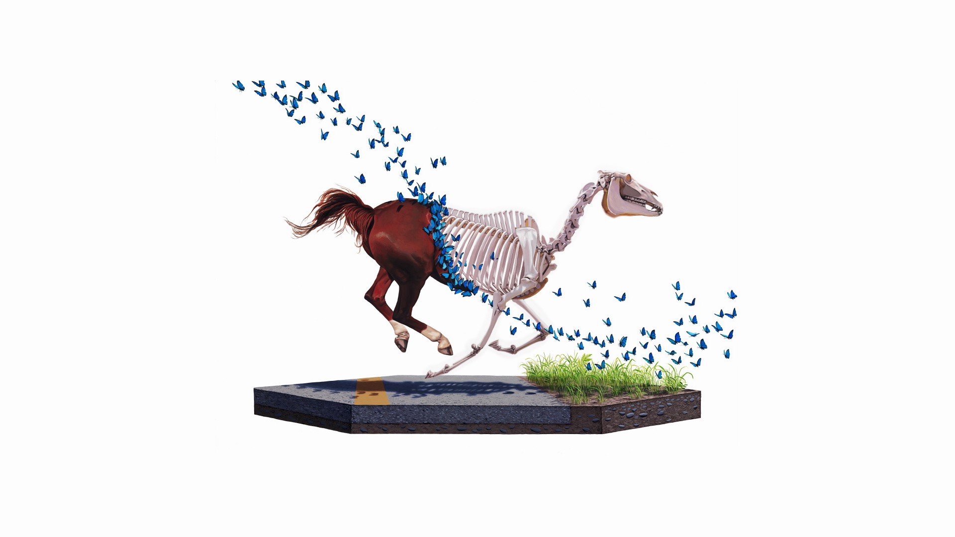 white Background, Digital Art, Animals, Butterfly, Grass, Skeleton, Skull, Running, Bones, Horse Wallpaper