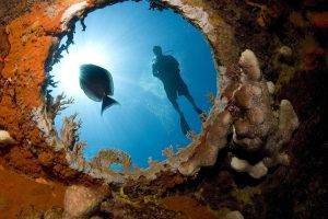 nature, Underwater, Fisheye Lens, Divers, Coral, Sunlight
