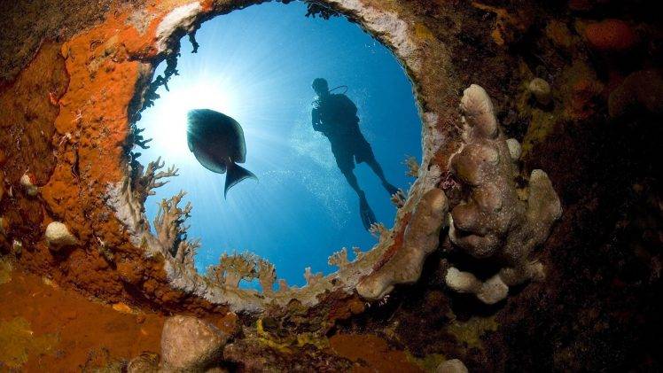 nature, Underwater, Fisheye Lens, Divers, Coral, Sunlight HD Wallpaper Desktop Background