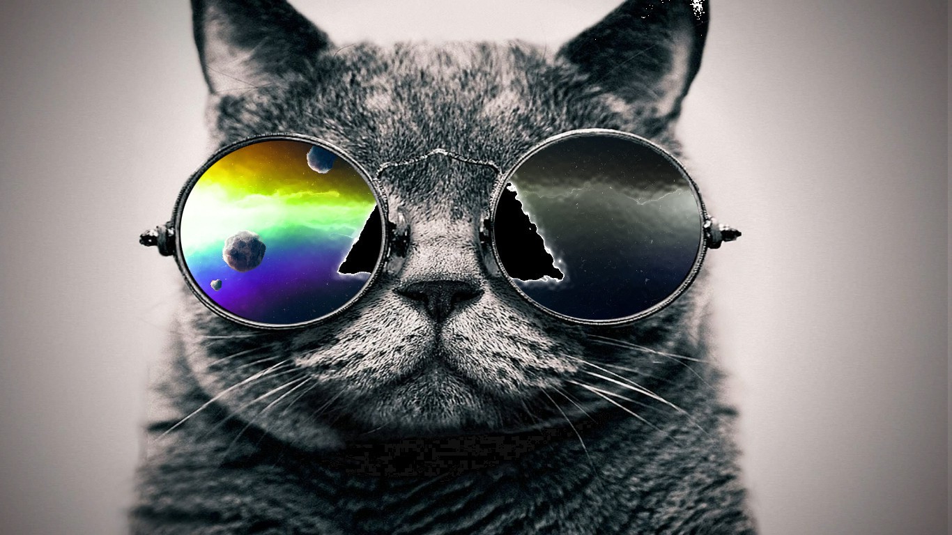 animals Wallpaper