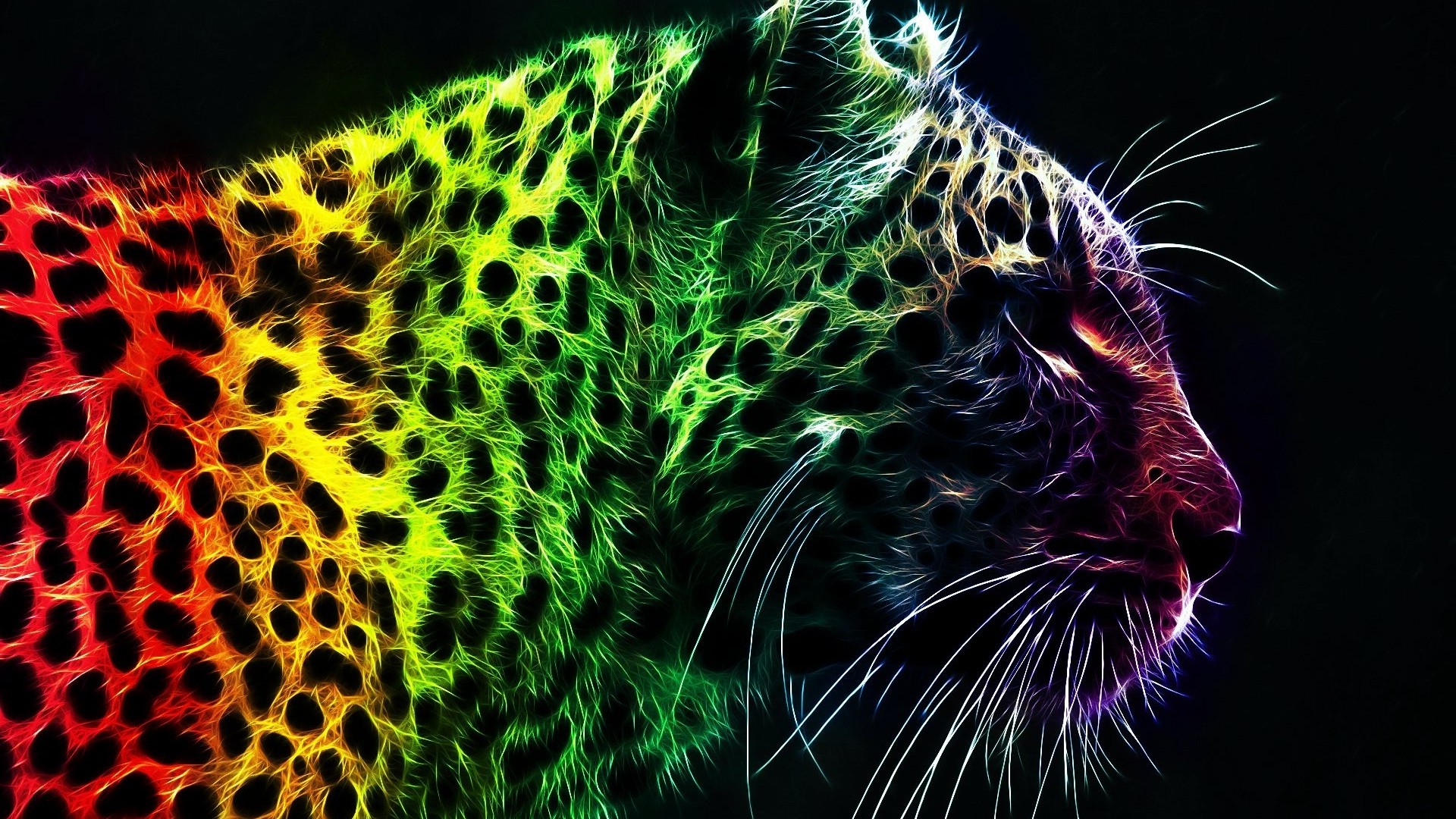 animals, Leopard, Colorful, Fractalius Wallpaper