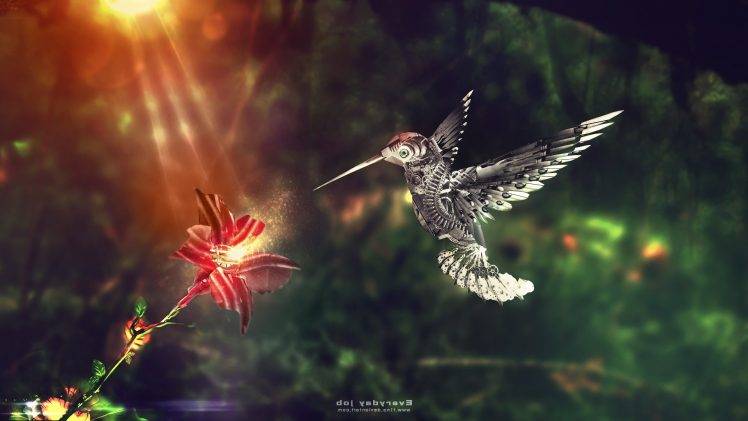 animals, Hummingbirds, Digital Art, Flowers, Sunlight, Birds HD Wallpaper Desktop Background