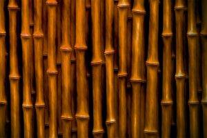 abstract, Bamboo