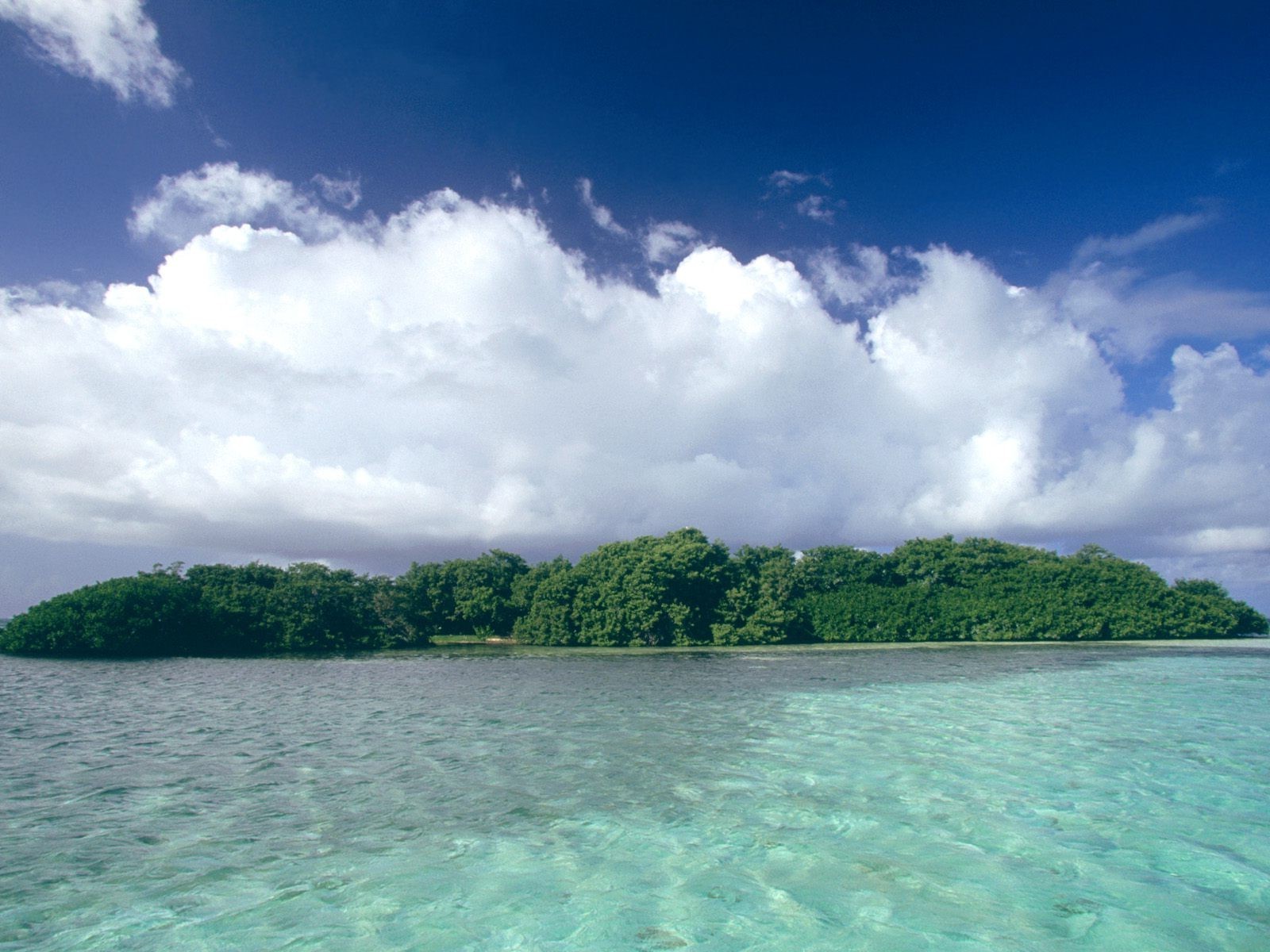 landscape Wallpaper