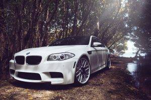 BMW, Forest, Trees, BMW M5, White Cars