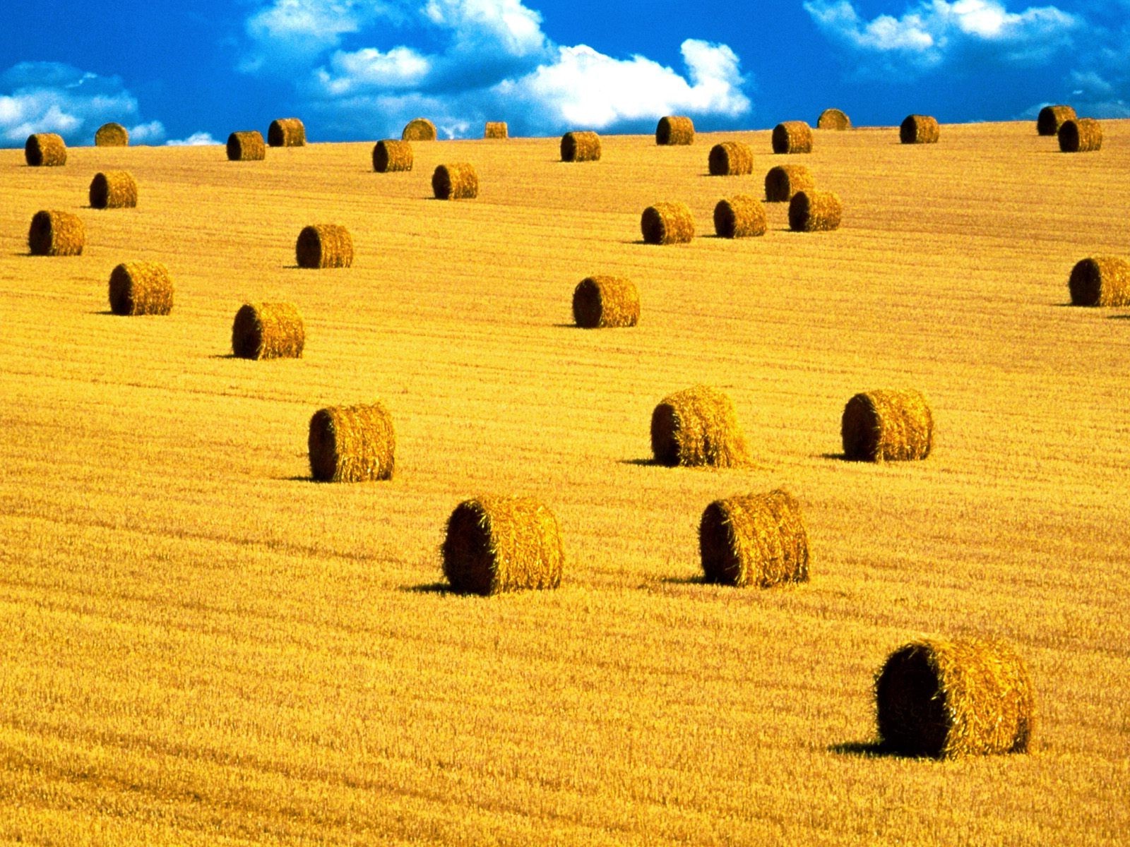 haystacks, Landscape, Field Wallpaper