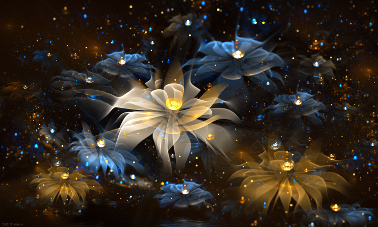 abstract, Fractal, Flowers, Fractal Flowers HD Wallpaper Desktop Background