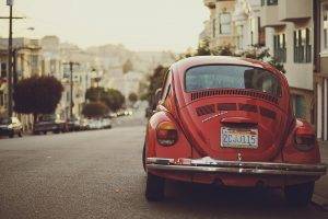 car, Street, Volkswagen, Volkswagen Beetle