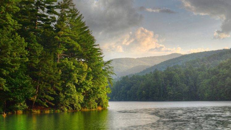 nature, River, Forest HD Wallpaper Desktop Background