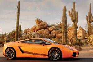 car, Orange Cars, Cactus, Rock, Desert