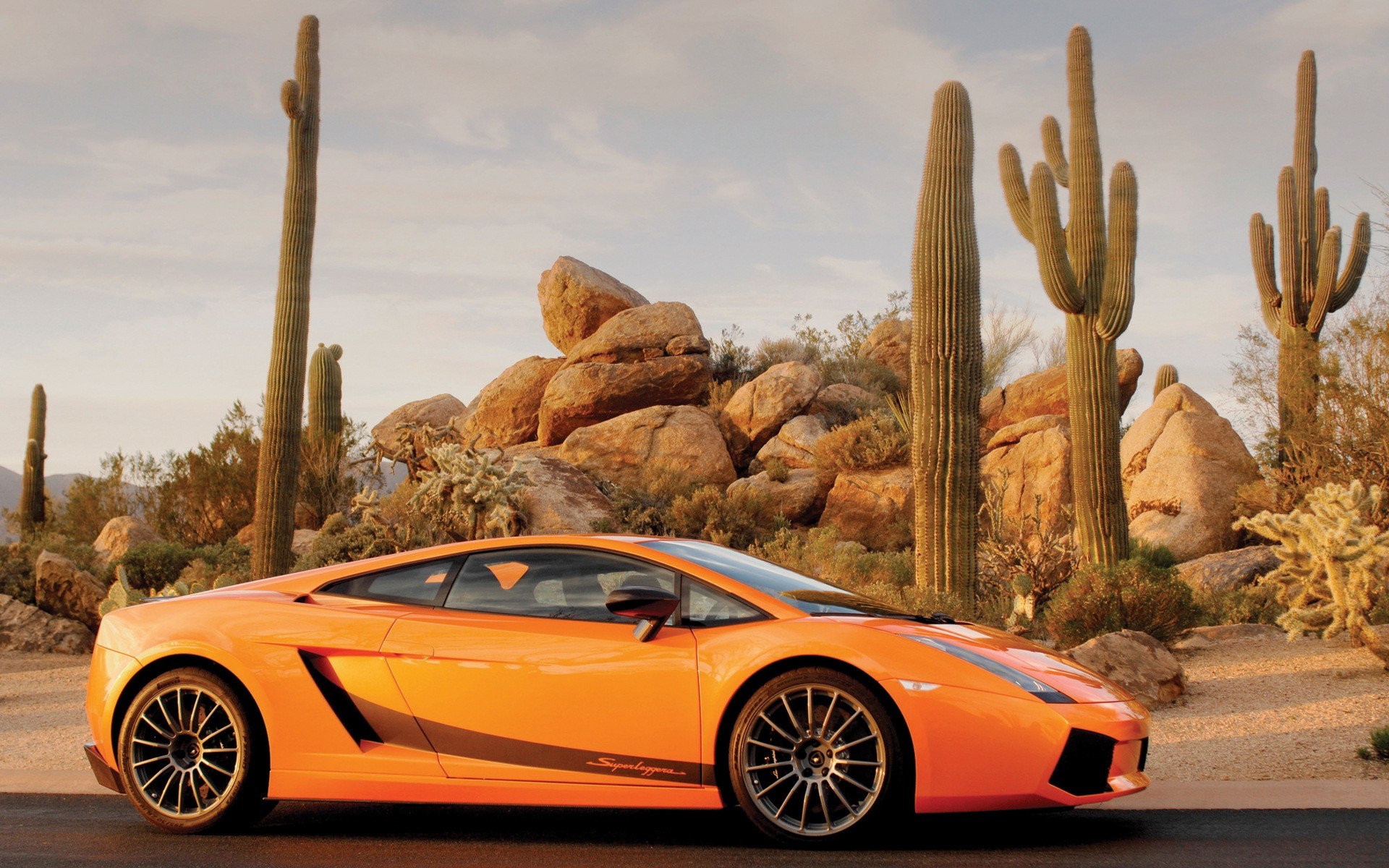car, Orange Cars, Cactus, Rock, Desert Wallpaper