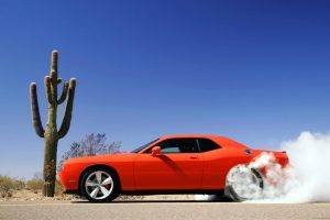 car, Orange Cars, Cactus, Dust