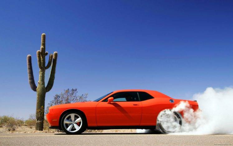 car, Orange Cars, Cactus, Dust HD Wallpaper Desktop Background