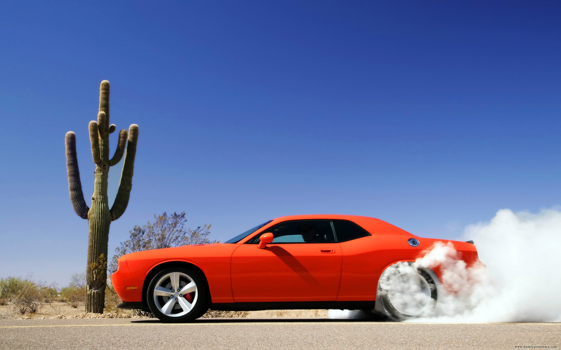 car, Orange Cars, Cactus, Dust Wallpaper