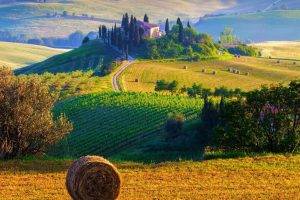 haystacks, Landscape, Terraced Field, Cottage, Tuscany, Italy