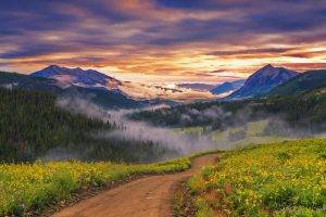 landscape, Nature, Wildflowers, Path, Mist, Forest, Trees, Sunset, Valley, Mountain
