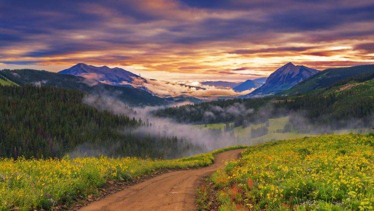 landscape, Nature, Wildflowers, Path, Mist, Forest, Trees, Sunset, Valley, Mountain HD Wallpaper Desktop Background