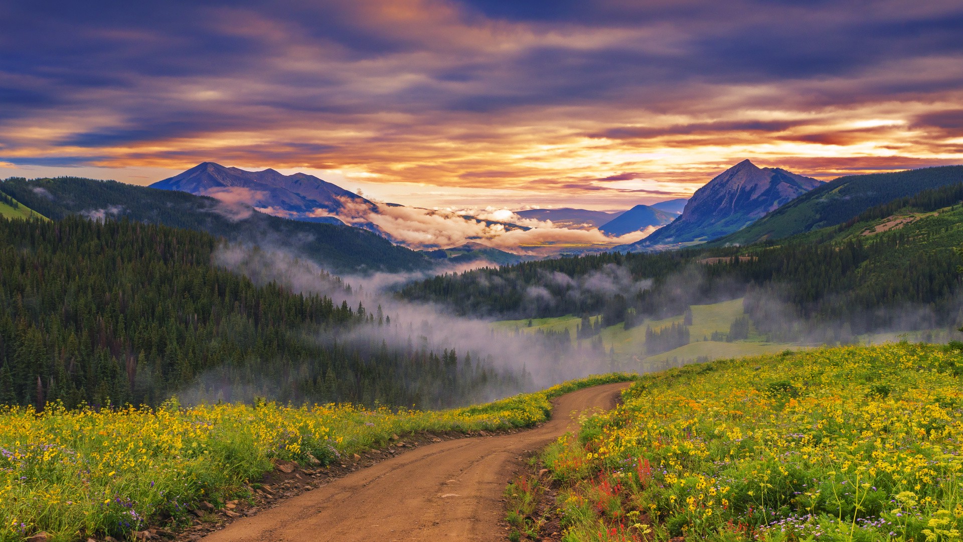 landscape, Nature, Wildflowers, Path, Mist, Forest, Trees, Sunset, Valley, Mountain Wallpaper