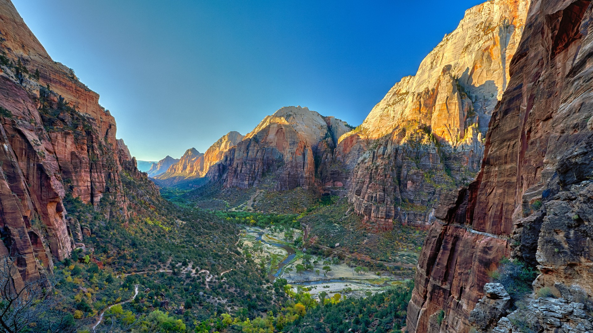 nature Wallpaper
