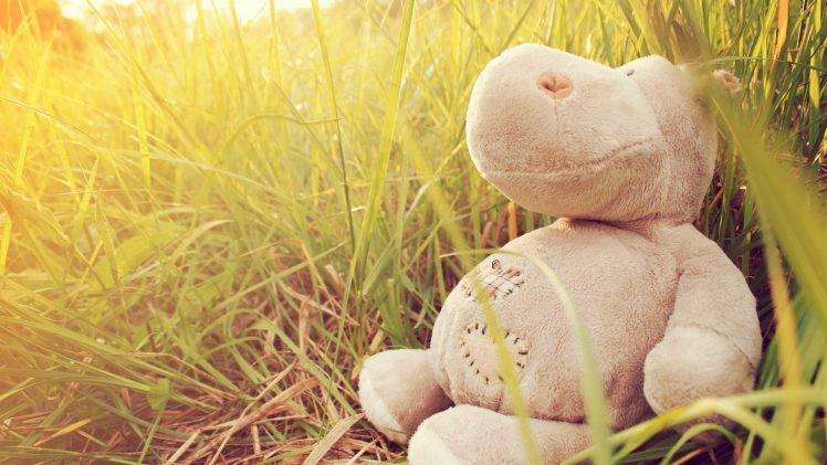 stuffed Animals, Grass, Sunlight HD Wallpaper Desktop Background