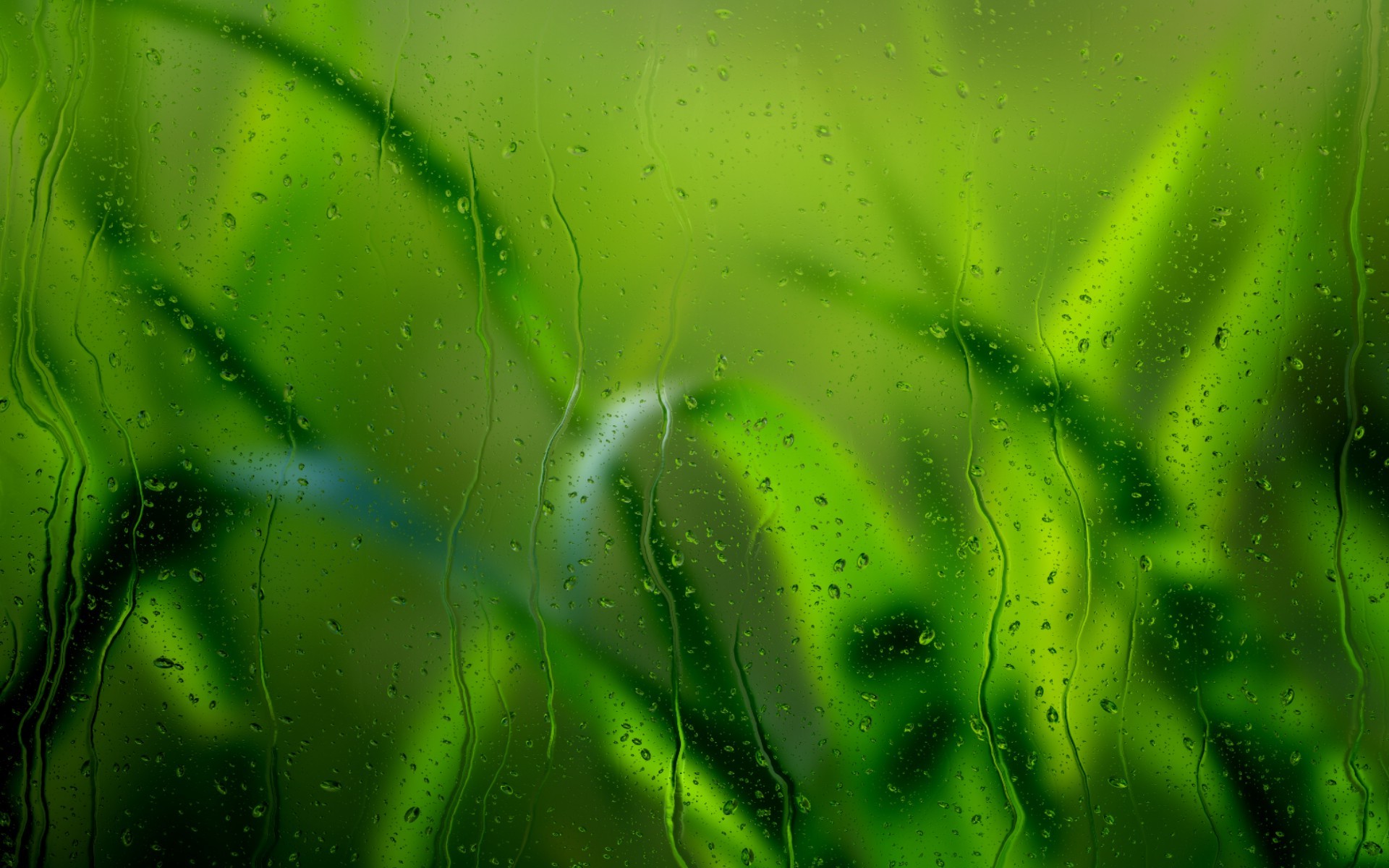 nature, Water On Glass, Leaves, Blurred, Green Wallpaper