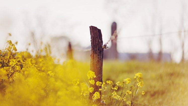 nature, Fence, Flowers, Depth Of Field HD Wallpaper Desktop Background