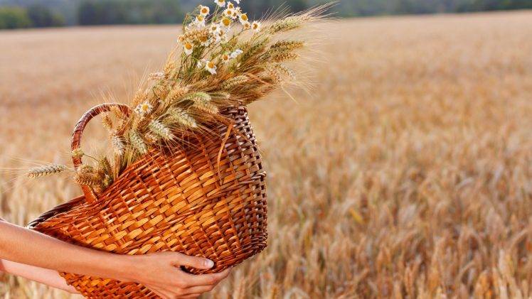 wheat, Field, Baskets, Hand, Flowers HD Wallpaper Desktop Background