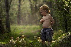 children, Geese, Shirtless, Baby Animals, Birds, Forest, Depth Of Field