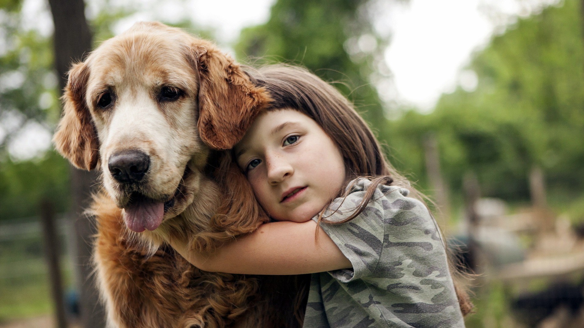 animals, Dog, Hugging, Children Wallpaper