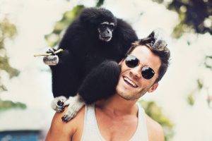 men, Smiling, Sunglasses, Animals, Monkeys, Bokeh