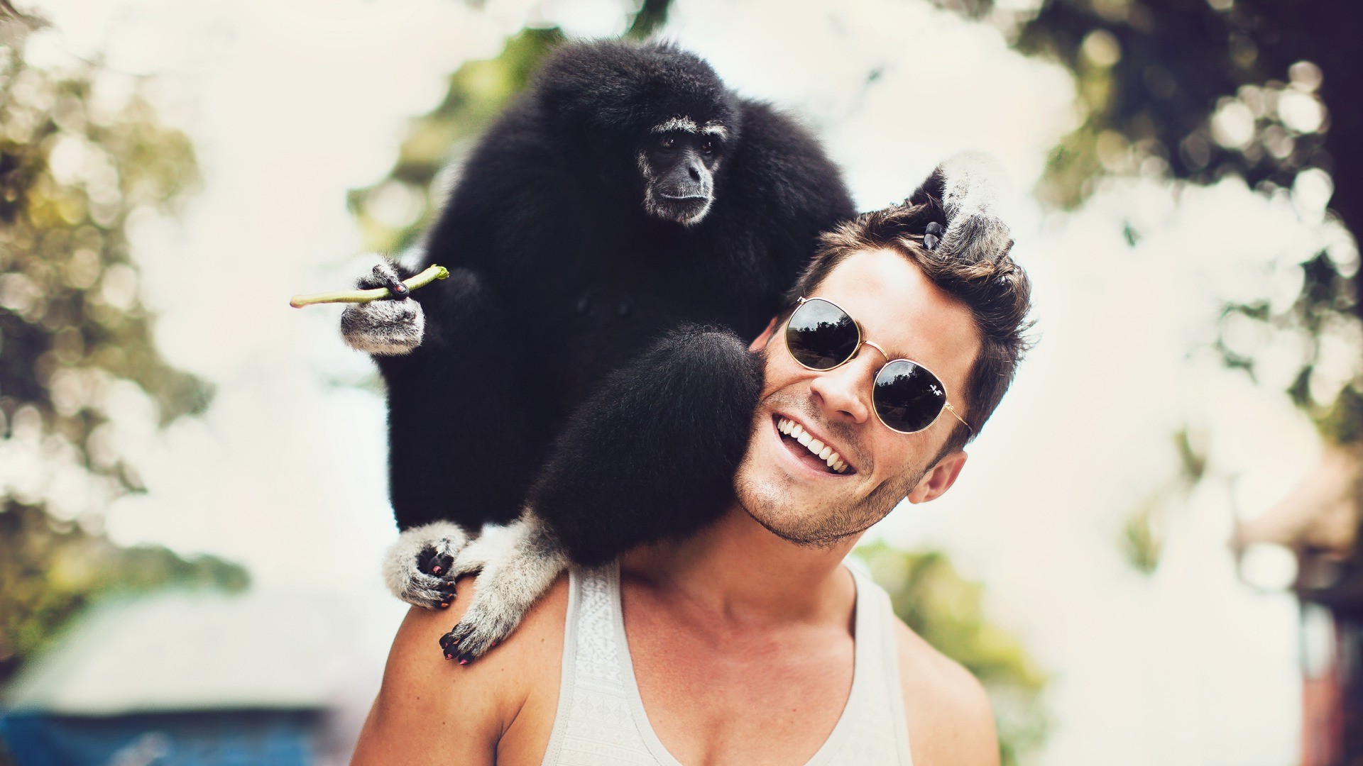men, Smiling, Sunglasses, Animals, Monkeys, Bokeh Wallpaper