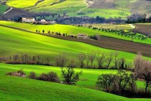 Italy, Landscape, Field, Trees, Hill, Nature