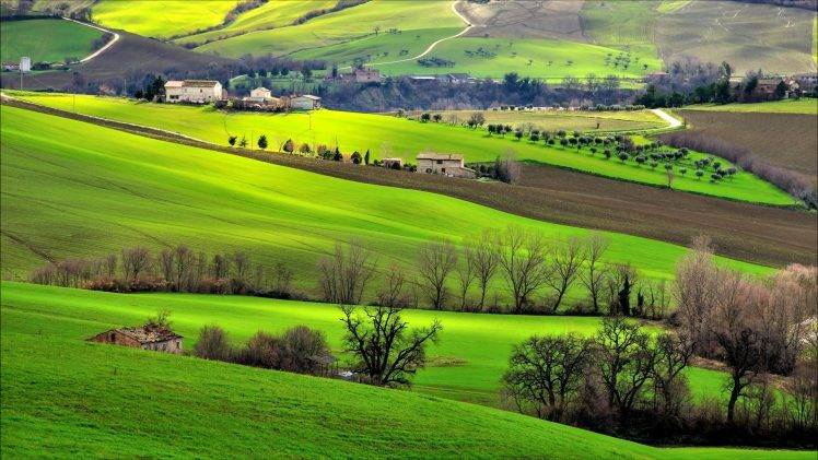 Italy, Landscape, Field, Trees, Hill, Nature HD Wallpaper Desktop Background
