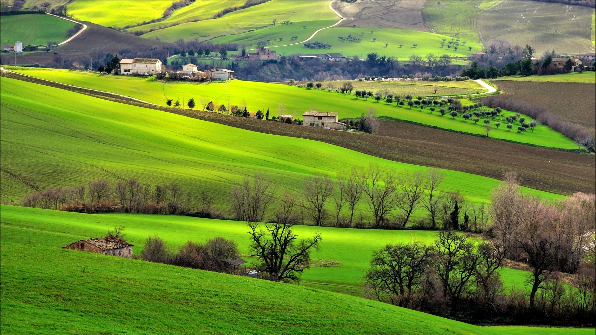 Italy, Landscape, Field, Trees, Hill, Nature Wallpaper
