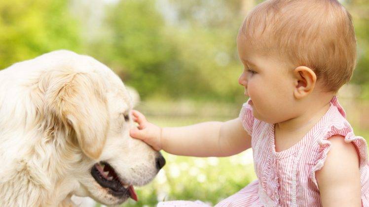 dog, Baby, Children, Animals HD Wallpaper Desktop Background