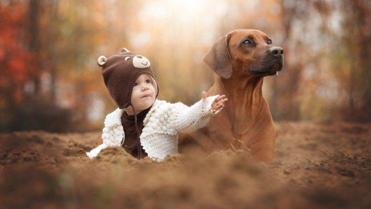 animals, Dog, Baby, Depth Of Field HD Wallpaper Desktop Background