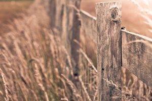 fence, Depth Of Field, Nature