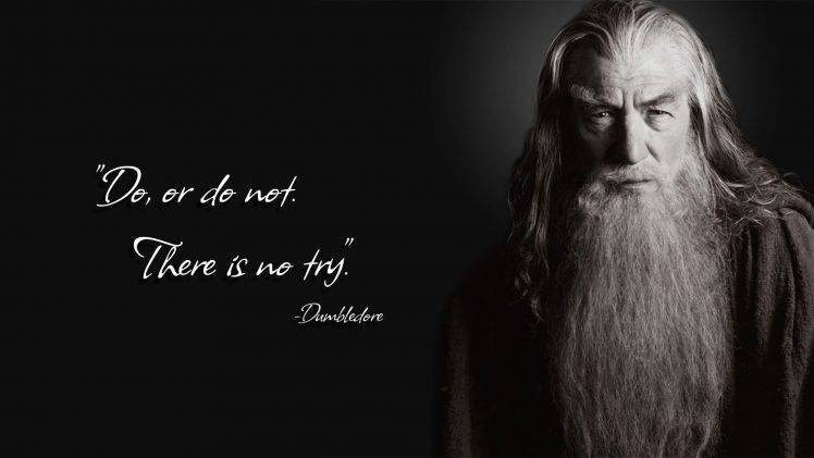 Albus Dumbledore, Gandalf, Harry Potter, Quote, Yoda HD Wallpaper Desktop Background