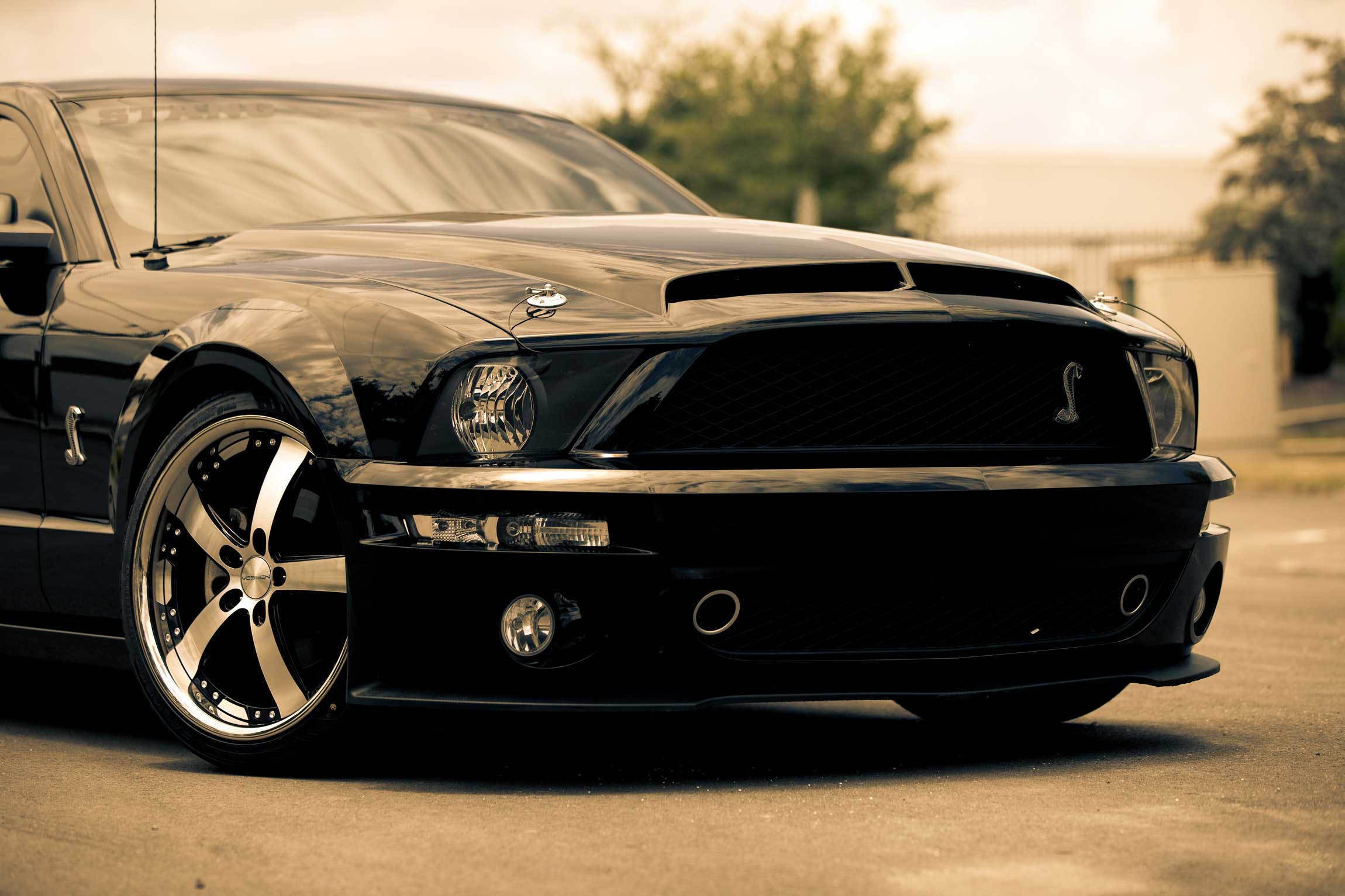 car, Muscle Cars, Ford Mustang GT, Ford Mustang Wallpapers HD / Desktop
