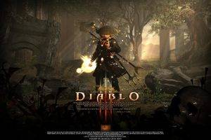 video Games, Diablo III
