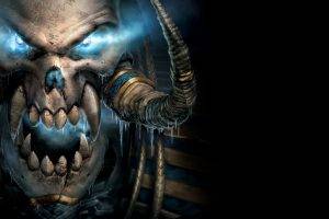 Warcraft, Video Games, Blizzard Entertainment, World Of Warcraft