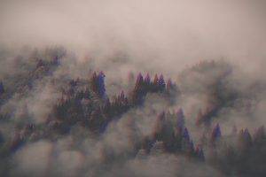 3D, Anaglyph 3D, Forest, Trees, Clouds