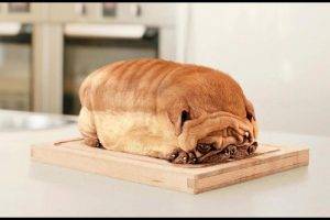 humor, Dog, Bread, Table
